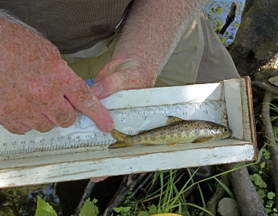 Atlantic Salmon Habitat Assessment